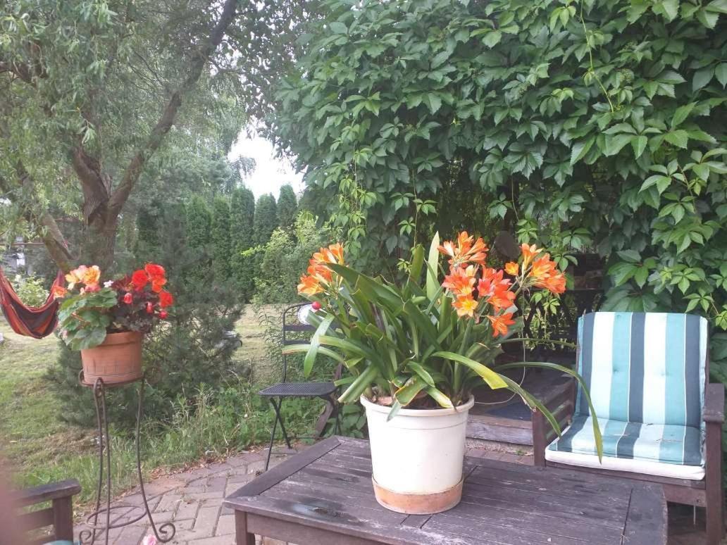 Guest House Pechersky & Sons Dreilini  Exterior foto